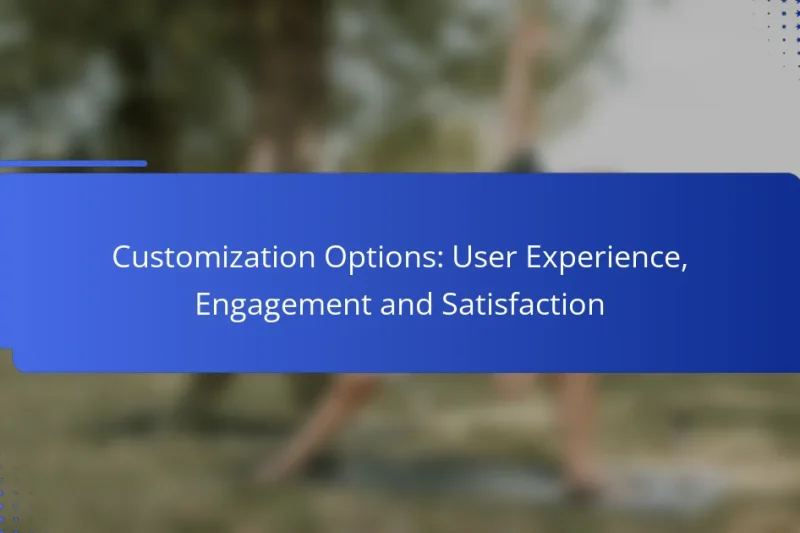 Customization Options: User Experience, Engagement and Satisfaction
