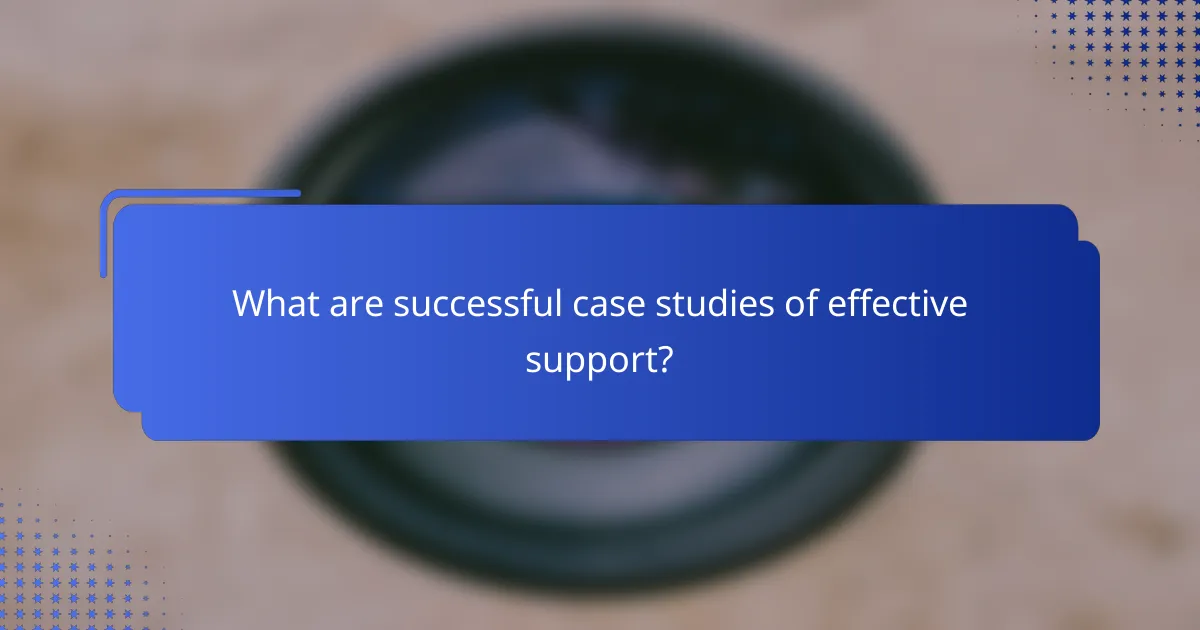 What are successful case studies of effective support?